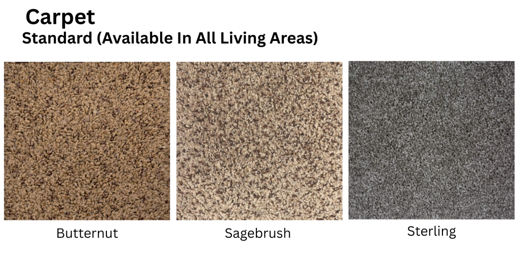 Carpet Interior Decor Options and Upgrades