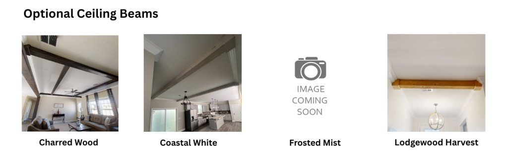 Ceiling Beams(1600 x 500 px) Ceiling Beams